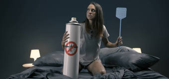 Czy mroźna zima to szansa na mniejszą ilość komarów latem? Odkomarzanie razem z firmą Prusaczek