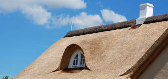 Wszystko o dachach z trzciny - Dachy z Trzciny Szymon Smolańczyński