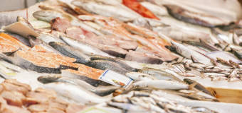 Zobacz, czemu warto kupować świeże ryby w sklepie rybno-spożywczym Fish!