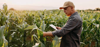 Jak wygląda rolnictwo w XX wieku?