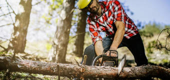 Jak usunąć niechciane drzewa i krzewy przed budową domu?