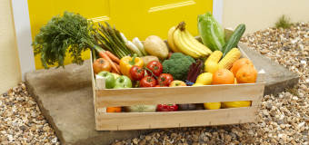 Dlaczego żywność ekologiczną warto kupować w hurtowni Eko Wital?