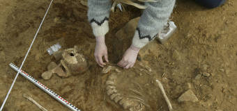 Usługi oferowane przez Pracownię Archeologiczno-Konserwatorską Attyka