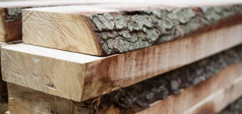 Do czego służy tarcica? - odpowiada ekspert Wiesław Jan Matej