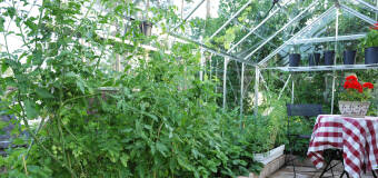 Firma Apdar odpowiada, czym charakteryzują się ogrody zimowe 