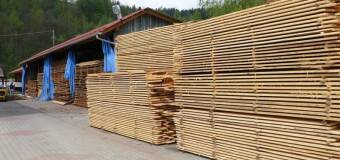 Jakie usługi oferuje Tartacznictwo Michała Jania?