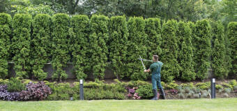 O jakich aspektach i elementach wyposażenia ogrodu należy pamiętać przy jego projektowaniu przez firmę Araneo?