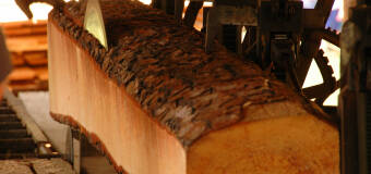 Tartak Kociok – najwyższej jakości drewno kominkowe i budowlane