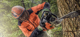  Na czym polega wycinka drzew? Poznaj ofertę firmy Grzegorza Florka Usługi Leśne!