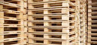  Palety jednorazowe w ofercie firmy Drew-Pal