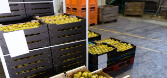 Sprawdź, jak udoskonalić magazyn z firmą AP Montage