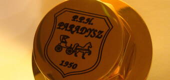 Przegląd usług znajdujących się w ofercie odlewni Paradysz PPH