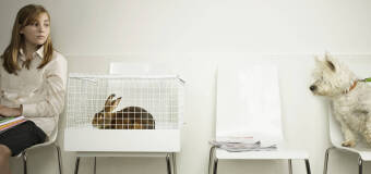 Profilaktyka i diagnostyka zwierząt w Przychodni Weterynaryjnej Amicus lek. wet. Mirosław Dragun