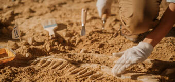 Eksperci od nadzorów i badań archeologicznym na terenach inwestycji, czyli firma Barta