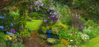  Kompleksowa oferta firmy ogrodniczej Oleander, czyli projekt, wykonanie i pielęgnacja ogrodu