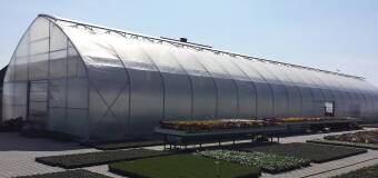 Co warto wiedzieć o tunelach foliowych? – firma Agro-Sur 