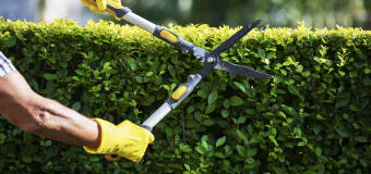 Jak wygląda profesjonalna pielęgnacja terenów zielonych z firmą Rem-Bud? 