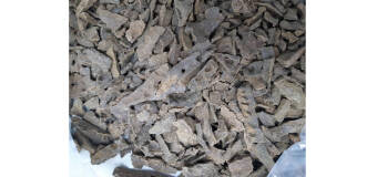 Propolis od Prokit – zielony propolis z Brazylii