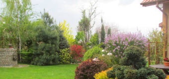 Kompleksowe projektowanie, zakładanie i pielęgnacja przydomowych ogrodów w ofercie firmy Ogród Z Klimatem! 