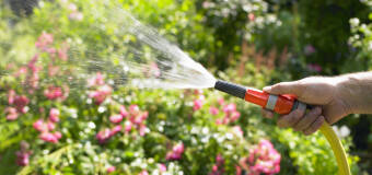 Kompleksowa pielęgnacja ogrodów w ofercie Usługi Ogrodnicze Perfect Garden Anna Pasiut! 