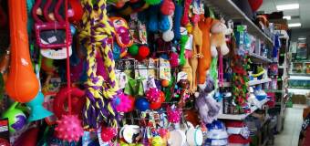 Zabawki dla czworonożnego pupila - Zoologia Jacek Fusiarz