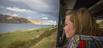 Czy warto podróżować busem do Niemiec? Usługi firmy Motyl!