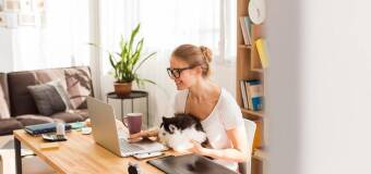 Najlepsze kraje do pracy zdalnej na świecie!