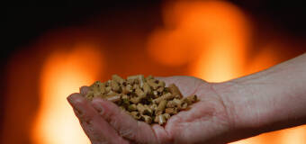 TeraPellet: Dlaczego do ogrzewania domu warto wybrać pellet drzewny?