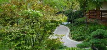 Jaskier Ogrody: Czym cechują się ogrody naturalistyczne?