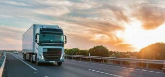 Transportowanie świeżych warzyw i owoców z firmą Usługi Transportowe Ciężarowe Sławomir Rogala 