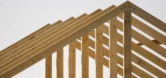 W jaki sposób drewno powinno być przygotowane do użytku? Tartak Sigma 