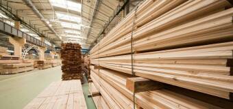 Kompleksowe usługi tartaczne: Alicja Skład Drewna
