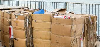 Makulatura: co warto wiedzieć przed oddaniem jej do punktu skupu Wtórex?