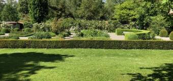 O czym warto wiedzieć przy zakładaniu ogrodu? Kilka rad dla początkujących od firmy Araneo