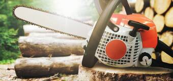 Kto i kiedy może wykonać wycinkę drzew? - Sławomir Walasiewicz Wycinka Drzew, Samosiejek, Sadów