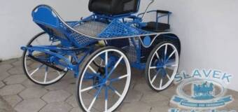 Powozy konne Slavek — wspaniała atrakcja dla miłośników koni i natury