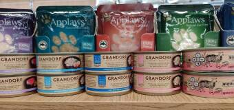 Jaką karmę powinniśmy podawać naszemu kotu? Sklep zoologiczny King Zoo