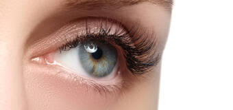  Salon Wizażu i Stylizacji Beauty Point: Na czym polega i jak przebiega zabieg liftingu rzęs?