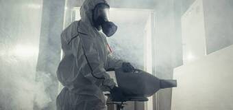 Hieronim Ludwikowski Usługi dezynsekcji i deratyzacji: Fumigacja - kiedy jest konieczna i jakie są jej zalety?