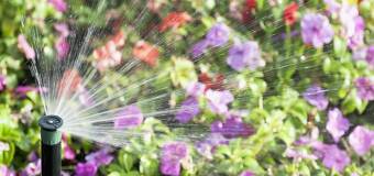 Automatyczne nawadnianie z firmy Wiśniowa Alejka: oszczędność wody i czasu w ogrodzie
