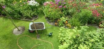 Projekt ogrodu z Mk Usługi Ogrodnicze