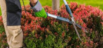 Poznaj ofertę firmy WoodWorks!