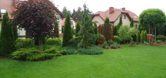  Zadbaj o twoje tereny zielone – zdaj się na Przedsiębiorstwo Ogrodnicze Oleander