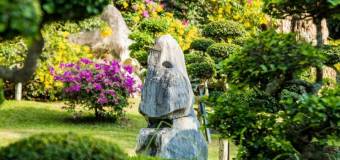 Jak wygląda samodzielne projektowanie ogrodów?