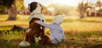 Dogoterapia jako zajęcia dodatkowe dla dziecka