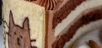 ee39d8cd-0cb0-4649-b487-6f83186addd7.jpg