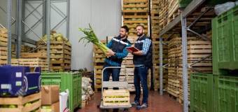 Jak działa hurtownia? Podstawowa klasyfikacja i charakterystyka