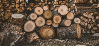 Drewno opałowe suche – ekologiczne źródło ciepła