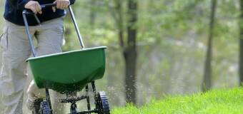 Wertykulacja i aeracja trawnika – Nat-Ogród