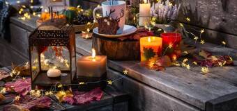 Zimowe napary ziołowe – Green Touch